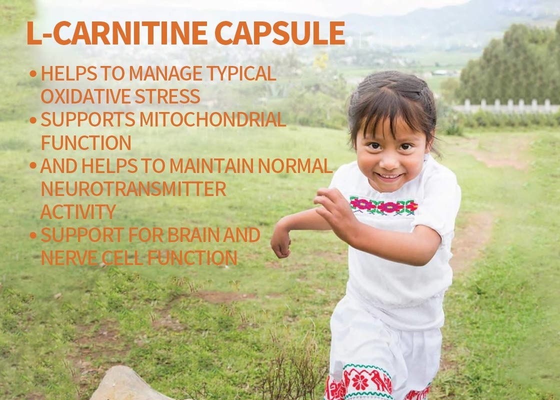 دعم كبسولات L-Carnitine للدماغ والخلايا العصبية دعم كبسولات الخضروات للذاكرة والتركيز