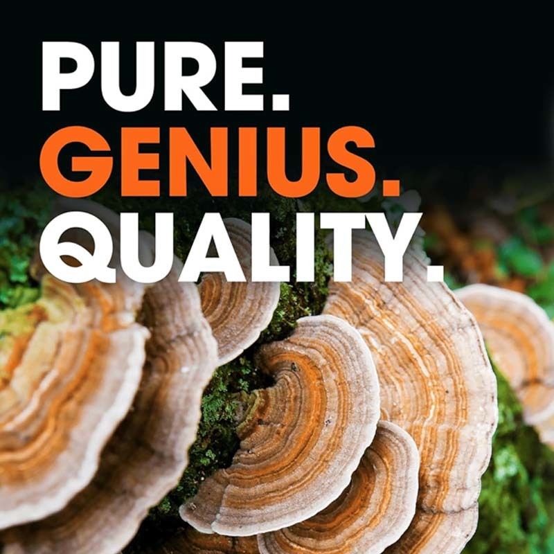 كبسولات ذيل الديك الرومي لتعزيز الصحة العامة ودعم آليات الدفاع الطبيعية للجسم ومكافحة مشاكل الأكسدة