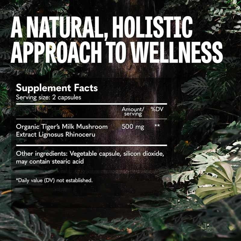 مكملات الفطر نمو الشعر الأمعاء الهضم الدماغ الرئة الصحة التركيز المعرفي التنفس حليب النمر الفطر كبسولات