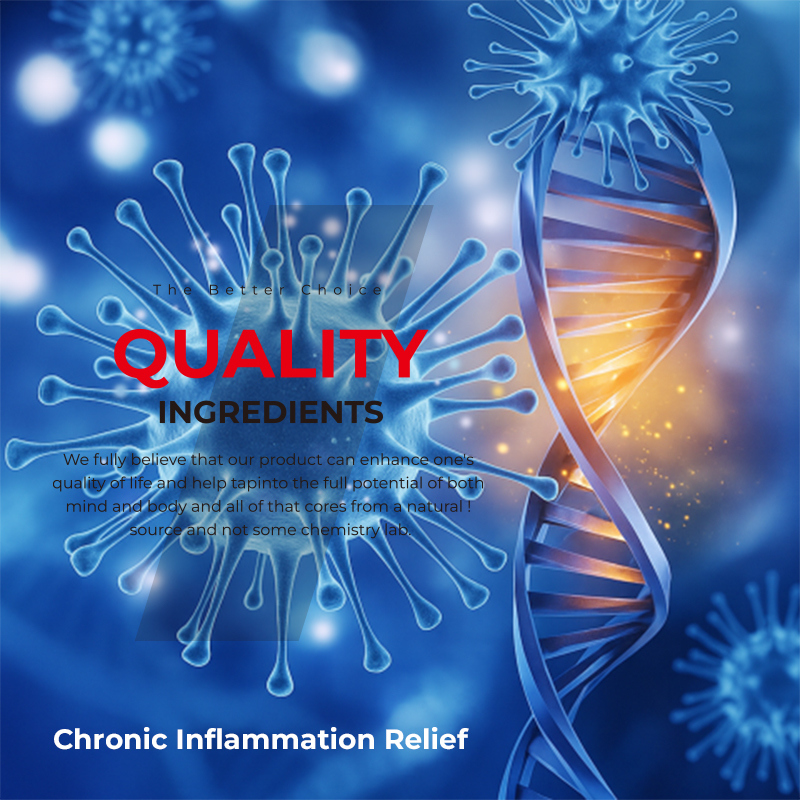 كبسولات الكركم ذات الملصق الخاص، تحتوي على 100 كبسولة لكل زجاجة لدعم الجهاز الهضمي وجرعة يومية 3 كبسولات