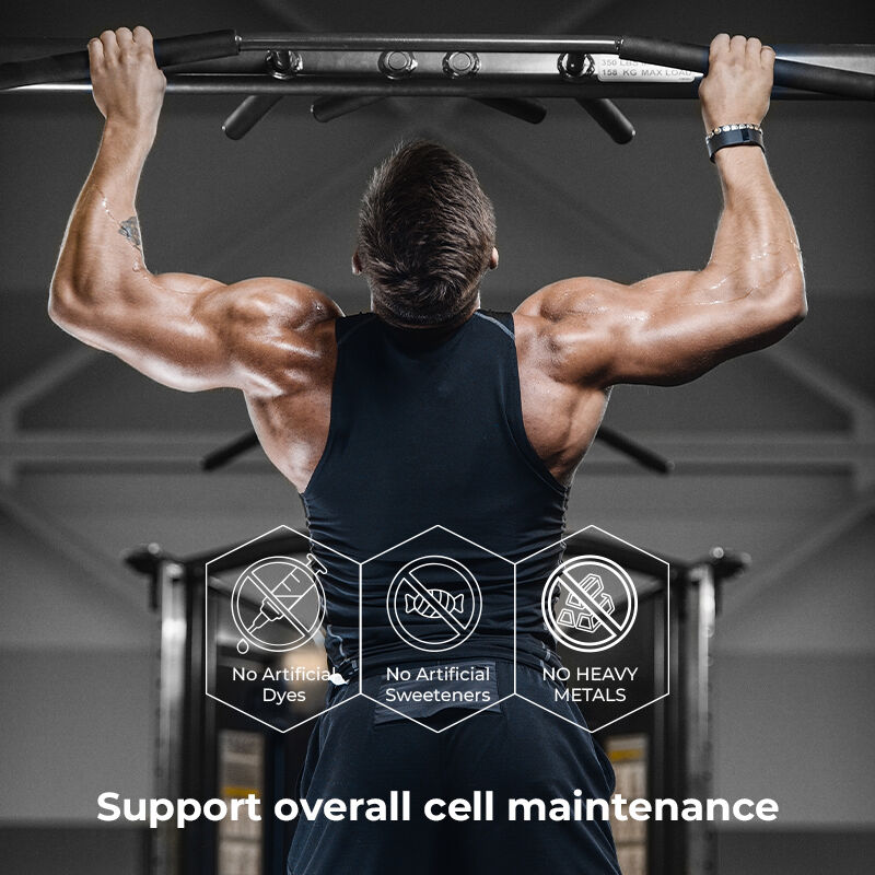 العلامة التجارية الخاصة شيلاجيت العلكة للرجال حمض الفولفيك مضافات خالية من السكر الحفاظ على مستويات الطاقة الطبيعية والوظيفة المناعية