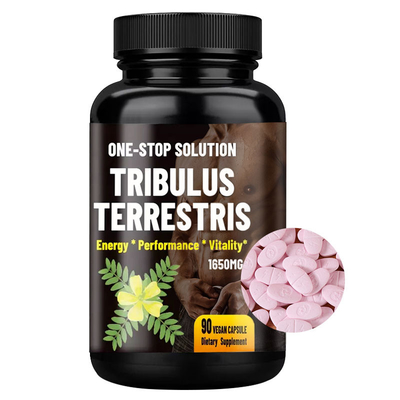 العلامة الخاصة تريبولوس Terrestris حبوب حبوب منع الحمل لتعزيز الذكور صحة البروستاتا