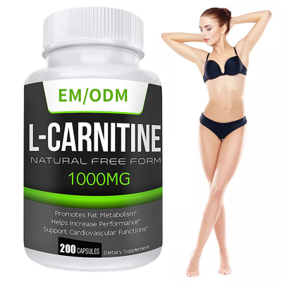 MSDS مكملات الحد من الدهون التغذية القوة الإضافية كبسولات L- Carnitine لتخفيف الوزن